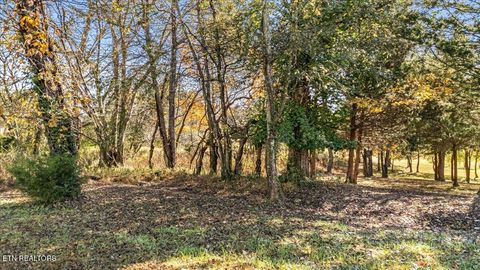 Photo of 176 Dudi Tr, Vonore, TN 37885 (MLS # 1321233)