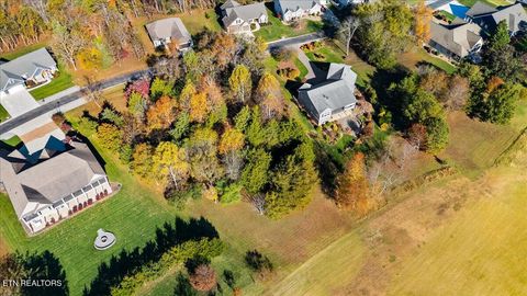 Tiny photo for 176 Dudi Tr, Vonore, TN 37885 (MLS # 1321233)