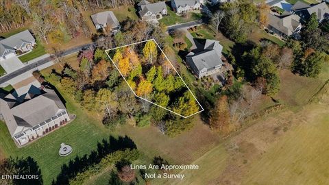 Tiny photo for 176 Dudi Tr, Vonore, TN 37885 (MLS # 1321233)