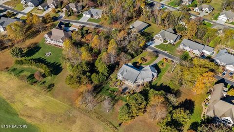 Tiny photo for 176 Dudi Tr, Vonore, TN 37885 (MLS # 1321233)