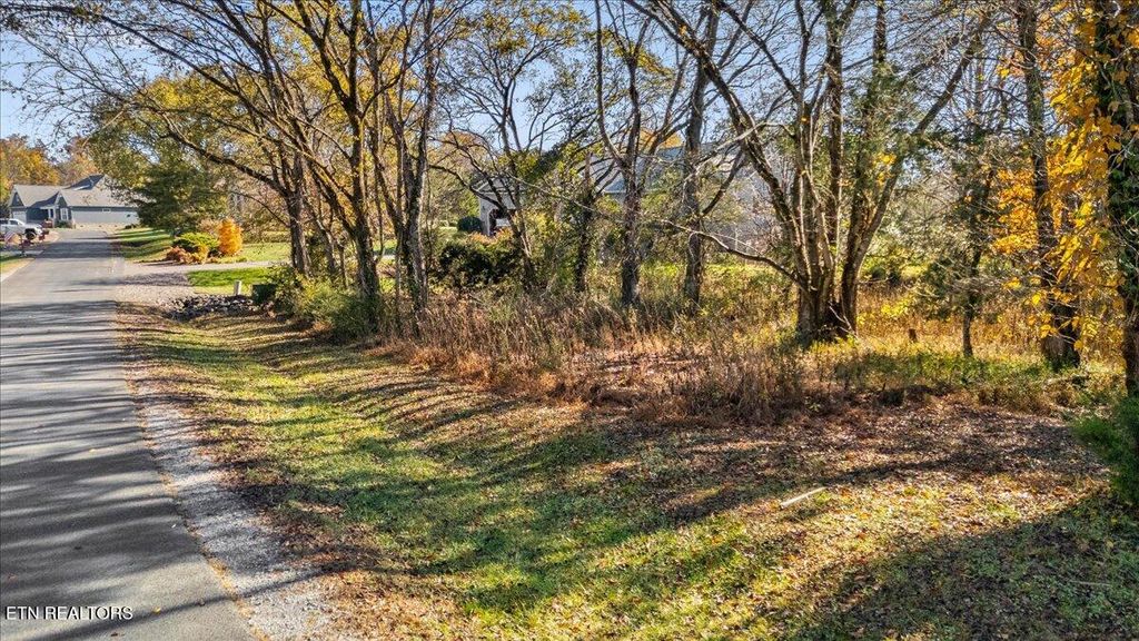 Photo of 176 Dudi Tr, Vonore, TN 37885 (MLS # 1321233)