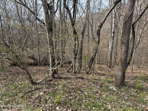 Tiny photo for 0 Turner Rd, Andersonville, TN 37705 (MLS # 1333224)