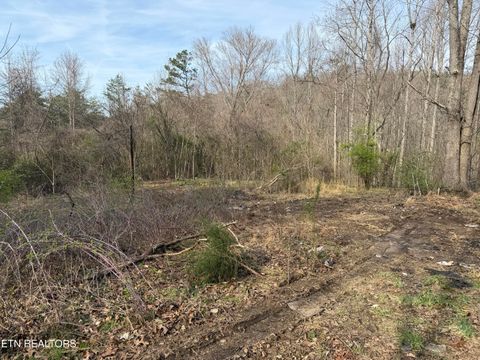 Tiny photo for 0 Turner Rd, Andersonville, TN 37705 (MLS # 1333224)