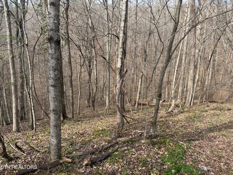 Tiny photo for 0 Turner Rd, Andersonville, TN 37705 (MLS # 1333224)