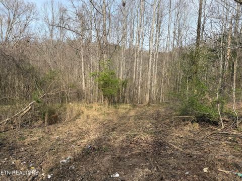 Tiny photo for 0 Turner Rd, Andersonville, TN 37705 (MLS # 1333224)