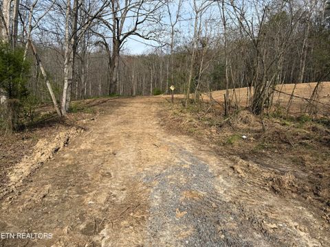 Tiny photo for 0 Turner Rd, Andersonville, TN 37705 (MLS # 1333224)