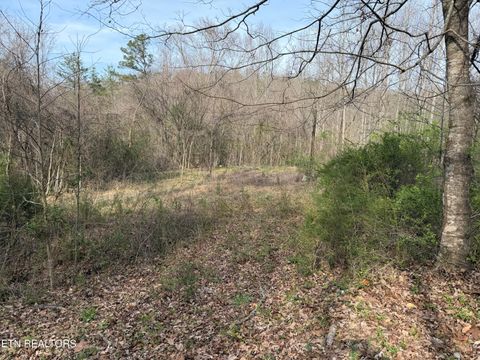 Tiny photo for 0 Turner Rd, Andersonville, TN 37705 (MLS # 1333224)