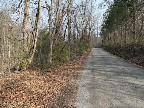 Tiny photo for 0 Turner Rd, Andersonville, TN 37705 (MLS # 1333224)