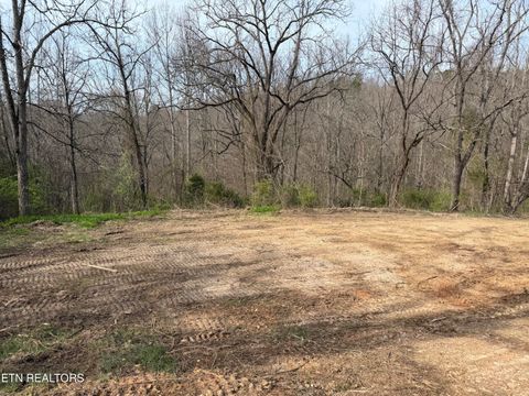 Tiny photo for 0 Turner Rd, Andersonville, TN 37705 (MLS # 1333224)