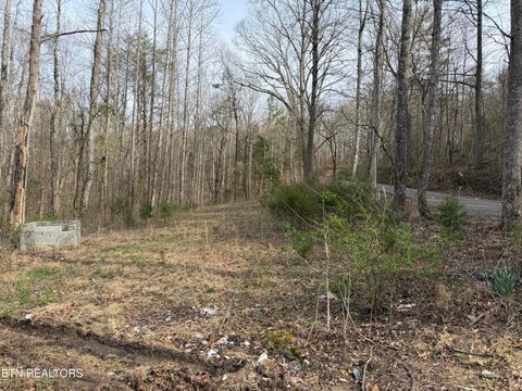 Tiny photo for 0 Turner Rd, Andersonville, TN 37705 (MLS # 1333224)