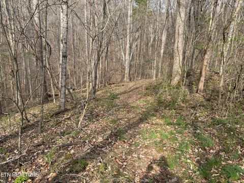 Tiny photo for 0 Turner Rd, Andersonville, TN 37705 (MLS # 1333224)