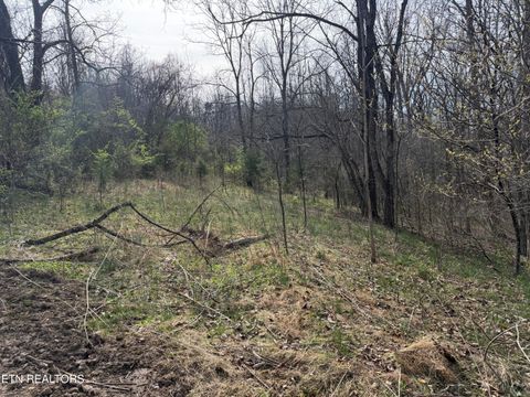 Tiny photo for 0 Turner Rd, Andersonville, TN 37705 (MLS # 1333224)