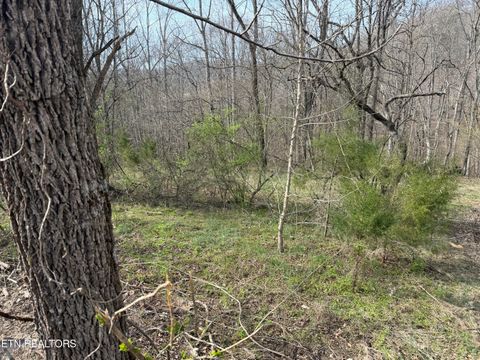 Tiny photo for 0 Turner Rd, Andersonville, TN 37705 (MLS # 1333224)
