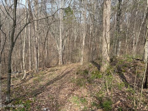 Tiny photo for 0 Turner Rd, Andersonville, TN 37705 (MLS # 1333224)