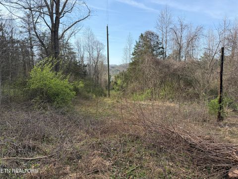 Tiny photo for 0 Turner Rd, Andersonville, TN 37705 (MLS # 1333224)