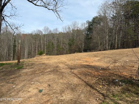 Tiny photo for 0 Turner Rd, Andersonville, TN 37705 (MLS # 1333224)