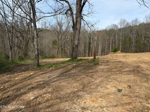 Tiny photo for 0 Turner Rd, Andersonville, TN 37705 (MLS # 1333224)