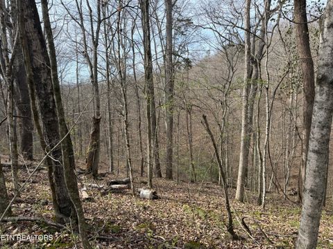 Tiny photo for 0 Turner Rd, Andersonville, TN 37705 (MLS # 1333224)