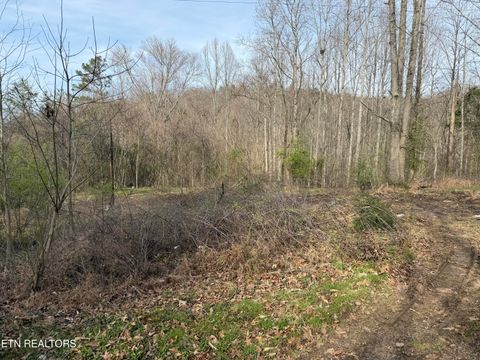 Tiny photo for 0 Turner Rd, Andersonville, TN 37705 (MLS # 1333224)