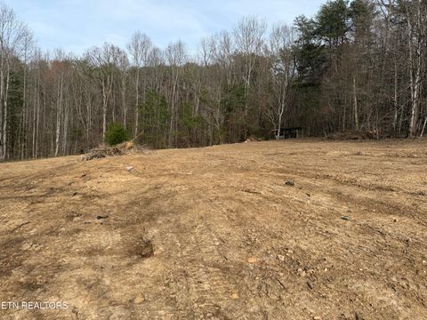 Tiny photo for 0 Turner Rd, Andersonville, TN 37705 (MLS # 1333224)