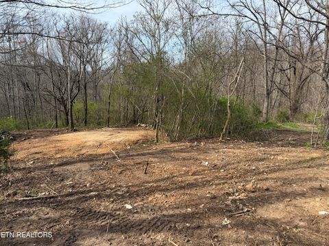 Tiny photo for 0 Turner Rd, Andersonville, TN 37705 (MLS # 1333224)