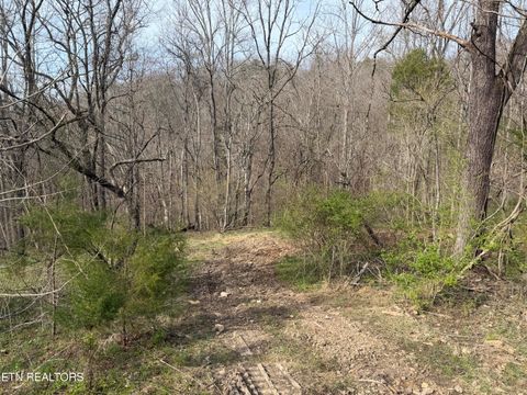 Tiny photo for 0 Turner Rd, Andersonville, TN 37705 (MLS # 1333224)