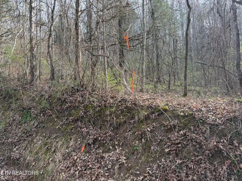 Tiny photo for 0 Turner Rd, Andersonville, TN 37705 (MLS # 1333224)