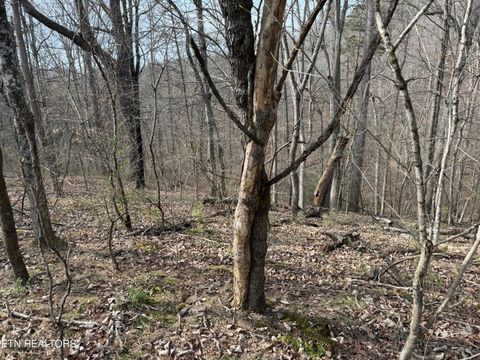 Tiny photo for 0 Turner Rd, Andersonville, TN 37705 (MLS # 1333224)