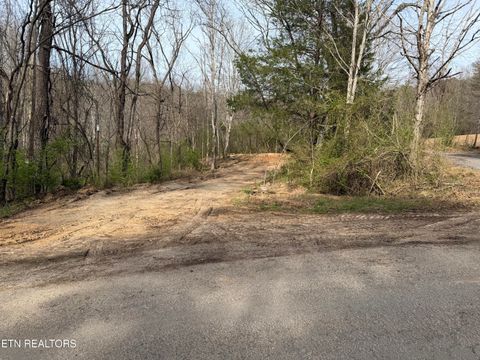 Tiny photo for 0 Turner Rd, Andersonville, TN 37705 (MLS # 1333224)