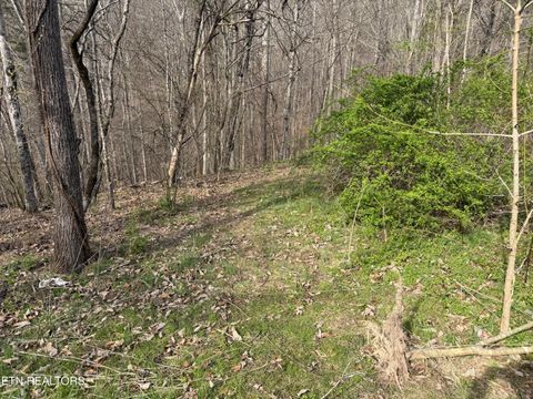 Tiny photo for 0 Turner Rd, Andersonville, TN 37705 (MLS # 1333224)