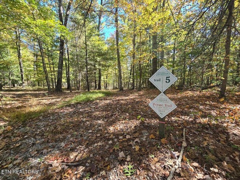 Tiny photo for 1151 Rockhouse Pass, Jamestown, TN 38556 (MLS # 1360249)