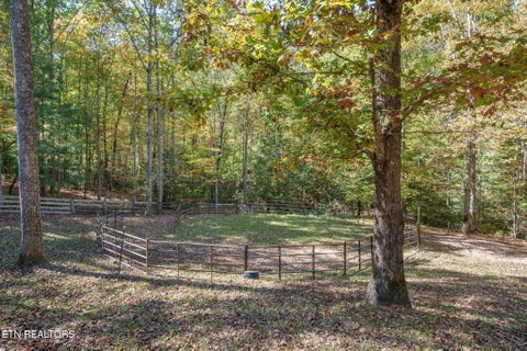 Tiny photo for 1151 Rockhouse Pass, Jamestown, TN 38556 (MLS # 1360249)