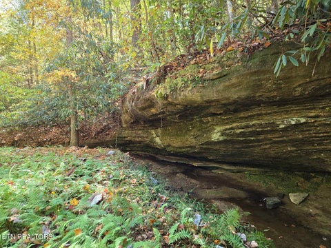Tiny photo for 1151 Rockhouse Pass, Jamestown, TN 38556 (MLS # 1360249)