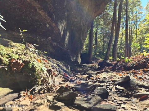 Tiny photo for 1151 Rockhouse Pass, Jamestown, TN 38556 (MLS # 1360249)