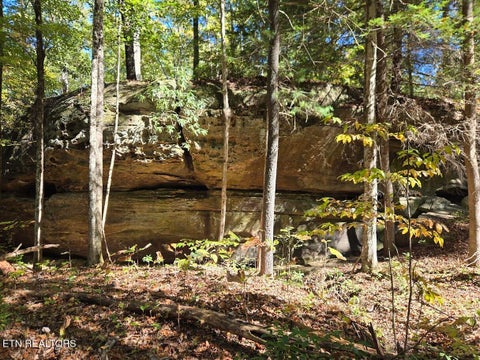 Tiny photo for 1151 Rockhouse Pass, Jamestown, TN 38556 (MLS # 1360249)