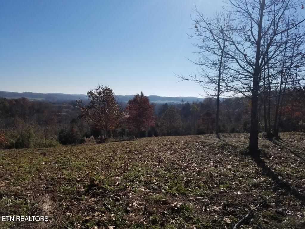 Photo of 417 Womac Hollow Rd, Ten Mile, TN 37880 (MLS # 1312217)
