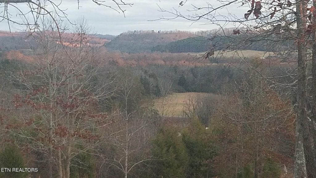 Photo of 417 Womac Hollow Rd, Ten Mile, TN 37880 (MLS # 1312217)