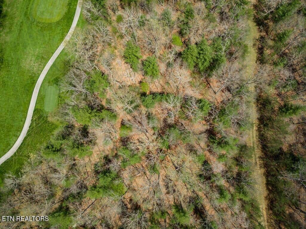 Photo of 115 Ayrshire Drive, Crossville, TN 38558 (MLS # 1343013)
