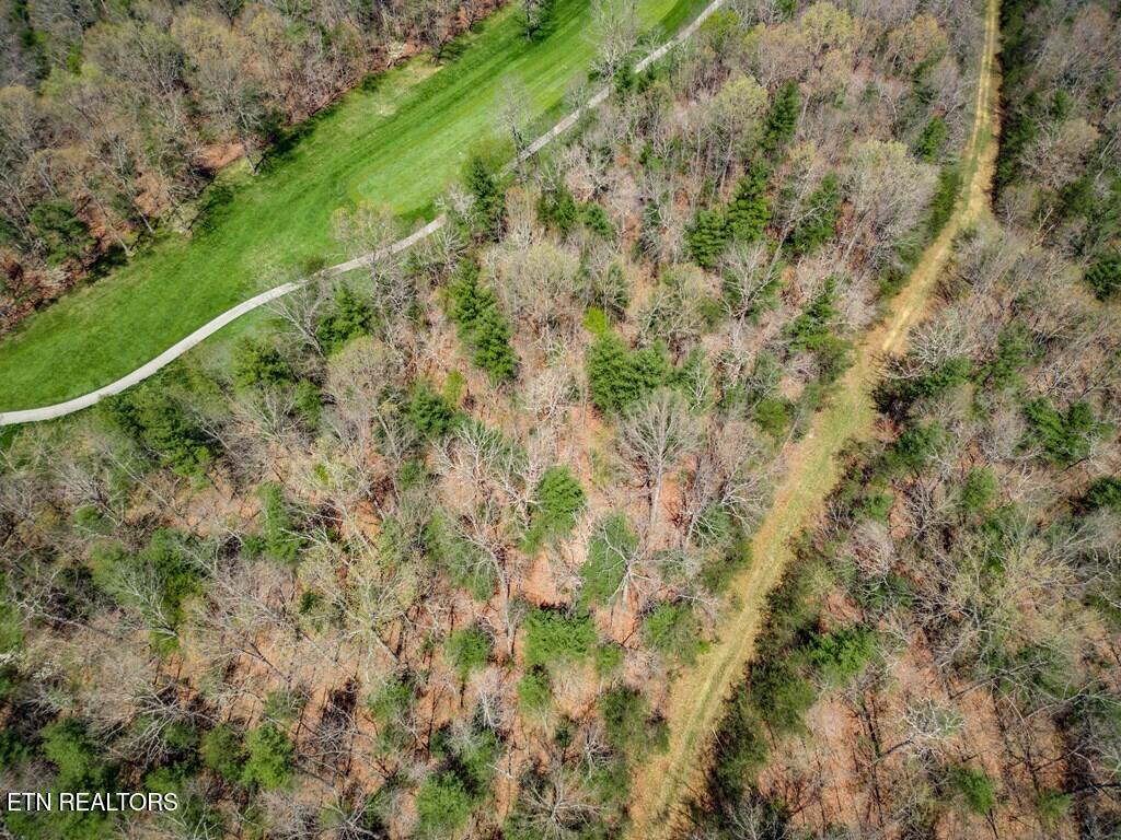 115 Ayrshire Drive