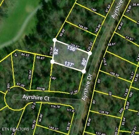 115 Ayrshire Drive