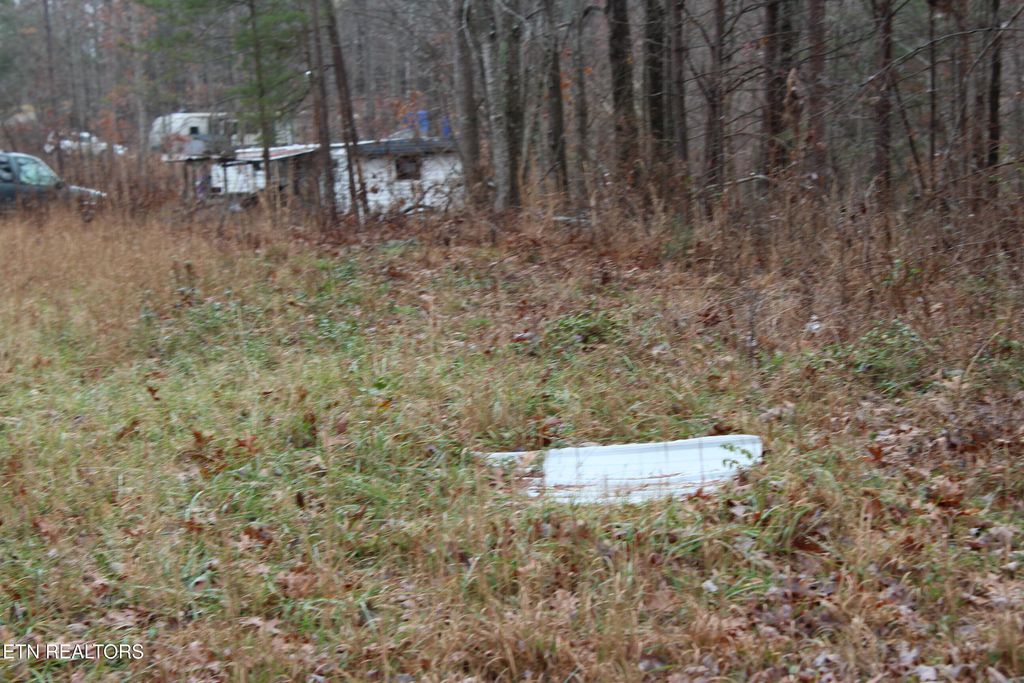 Photo of E Loomis Loop Rd, Jamestown, TN 38556 (MLS # 1323670)