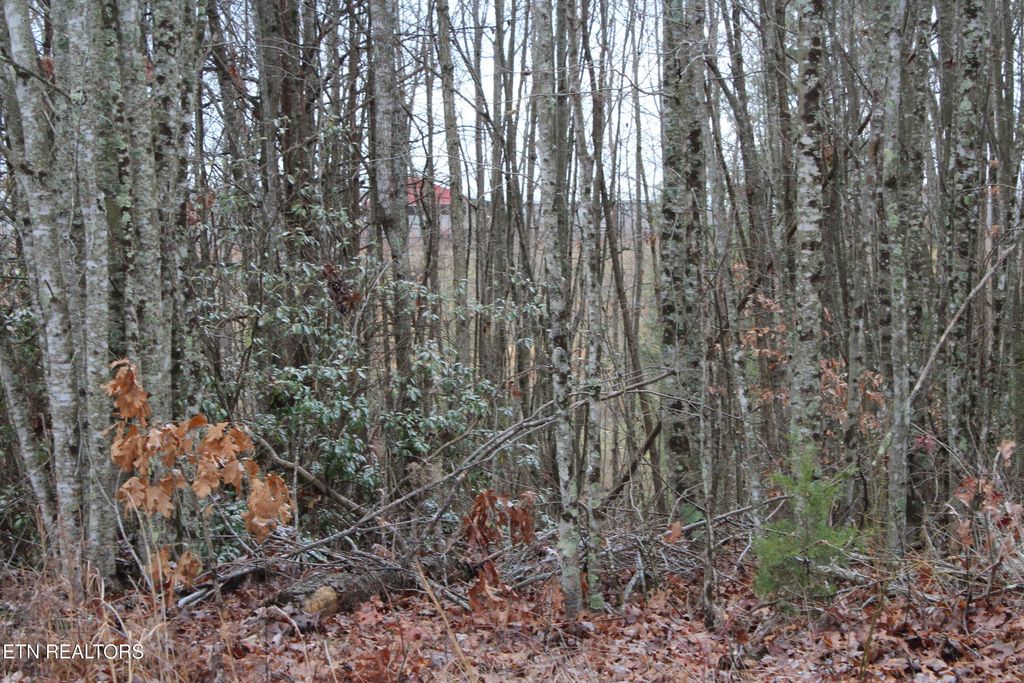 Photo of E Loomis Loop Rd, Jamestown, TN 38556 (MLS # 1323670)