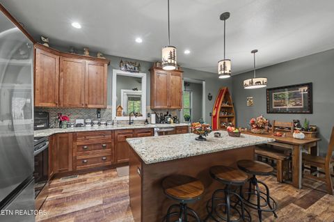Tiny photo for 1016 Country Mountain Rd, Cosby, TN 37722 (MLS # 1346978)