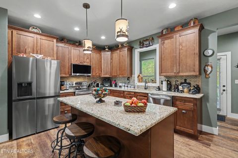 Tiny photo for 1016 Country Mountain Rd, Cosby, TN 37722 (MLS # 1346978)
