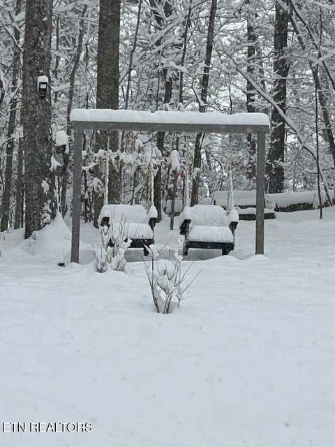 Tiny photo for 1016 Country Mountain Rd, Cosby, TN 37722 (MLS # 1346978)