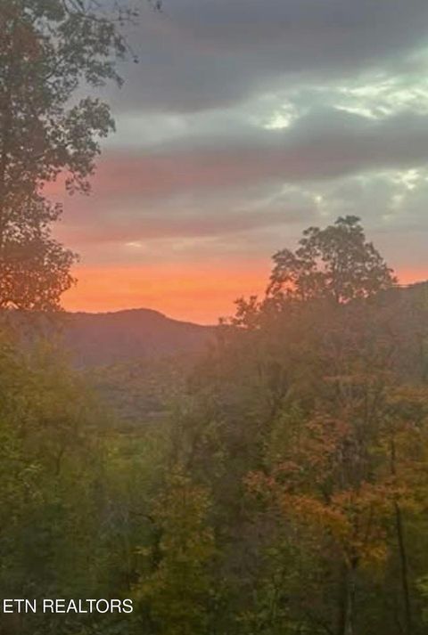 Tiny photo for 1016 Country Mountain Rd, Cosby, TN 37722 (MLS # 1346978)