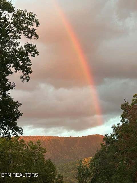 Tiny photo for 1016 Country Mountain Rd, Cosby, TN 37722 (MLS # 1346978)