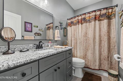 Tiny photo for 1016 Country Mountain Rd, Cosby, TN 37722 (MLS # 1346978)