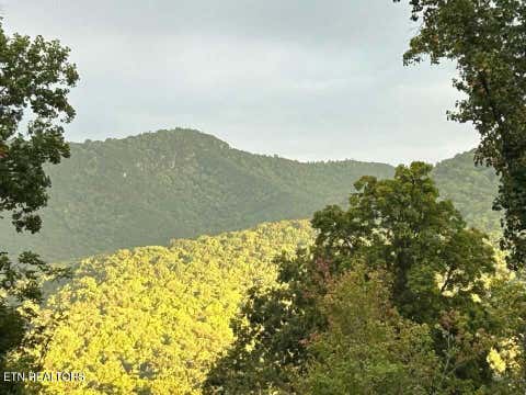 Tiny photo for 1016 Country Mountain Rd, Cosby, TN 37722 (MLS # 1346978)