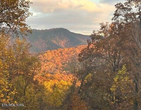 Tiny photo for 1016 Country Mountain Rd, Cosby, TN 37722 (MLS # 1346978)